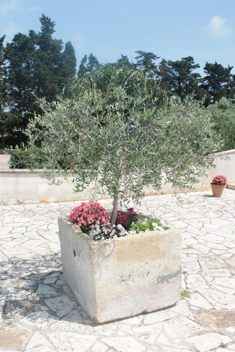 Tenuta Turchi Otranto Exterior photo